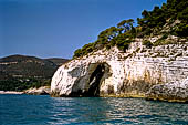 La costa cesellata di grotte create dall'erosione del calcare con anfratti; rientranze e rotture.